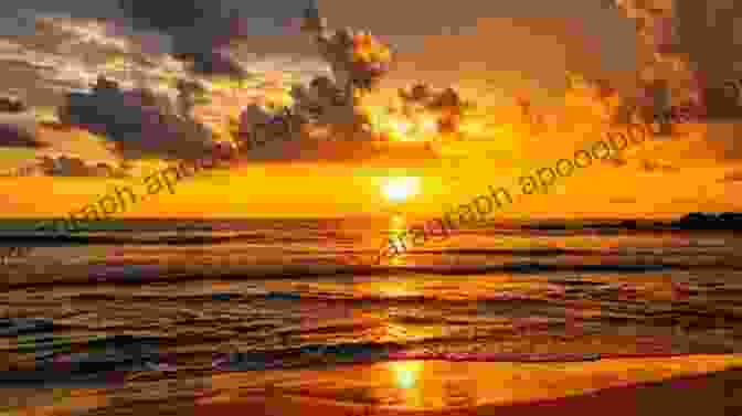 A Breathtaking Sunset Over Marigold Island, Casting A Golden Glow Over The Beach And Palm Trees. Beachside Promises (Marigold Island 3)