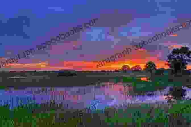 A Breathtaking Sunset Over The Everglades National Park, With The Silhouette Of A Lone Tree In The Foreground Wintering In Florida: A German Couple In America