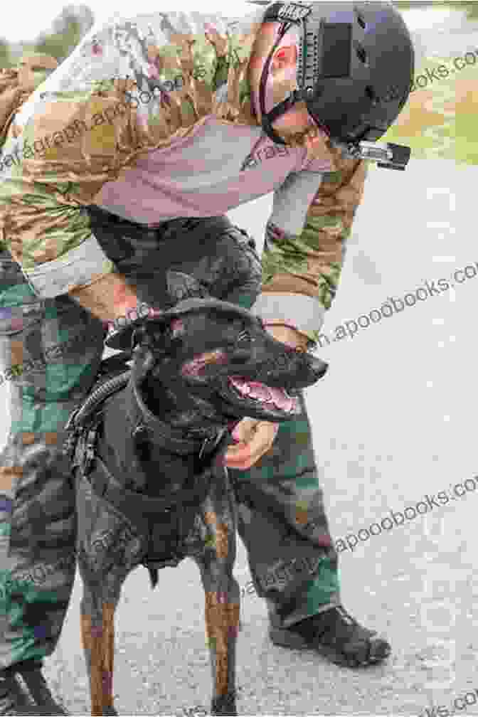 A Cerberus Tactical K9 Handler Conducting A Training Session With His Canine Partner, Demonstrating Their Impeccable Teamwork And Communication. Protective Instinct (Cerberus Tactical K9 2)