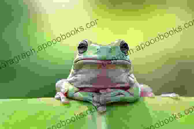 A Close Up Of A Green Frog Sitting On A Leaf Against Nature: With Linked Table Of Contents