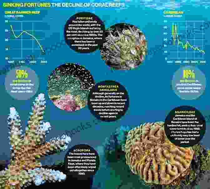 A Deformed Fish Skeleton Caused By Ocean Acidification Ocean Acidification And Marine Wildlife: Physiological And Behavioral Impacts