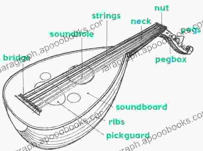 A Diagram Of The Oud, Highlighting Its Parts And Construction Basics Of Oud Stephen Janetzko