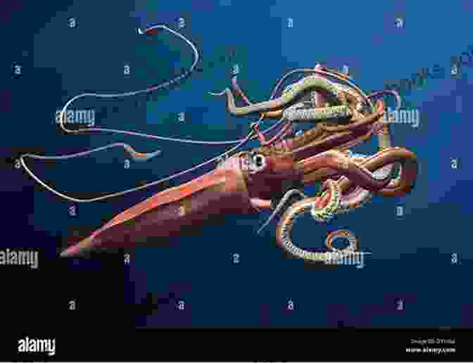 A Giant Squid In The Depths Of The Ocean Swim With The Whales: The Giants Of The Ocean