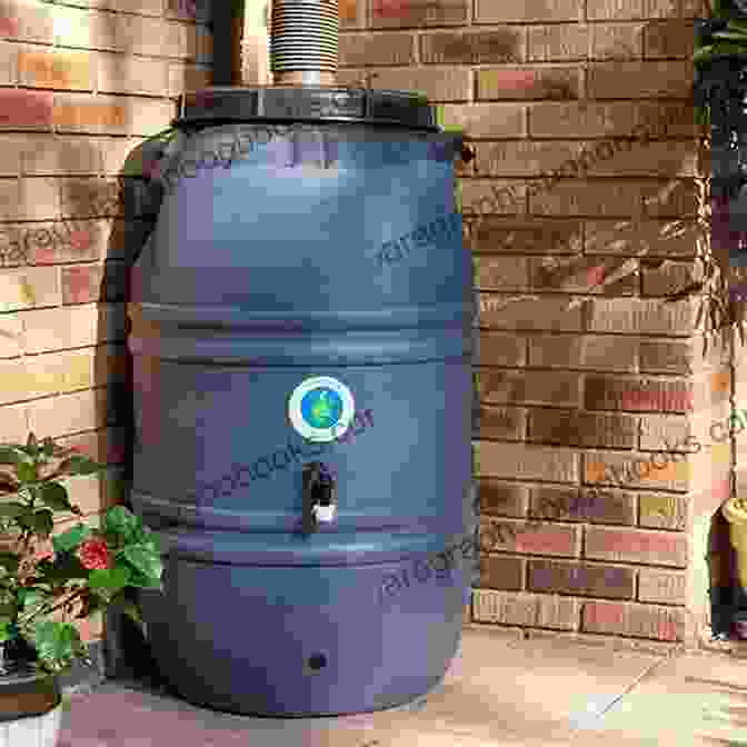 A Large Rain Barrel Collecting Rainwater The Rain Barrel Frank Ormsby