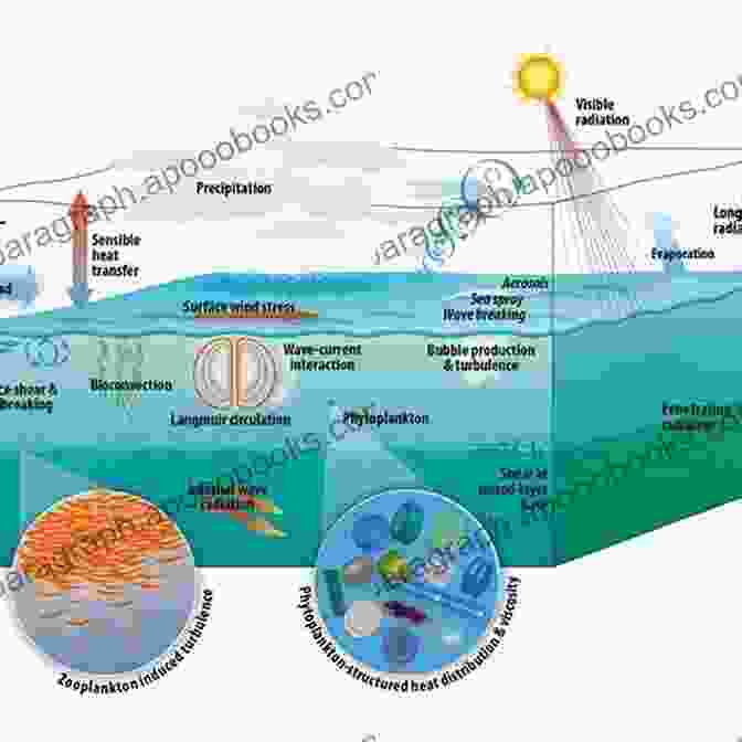 Air Sea Interaction Processes Air Sea Interaction: Laws And Mechanisms