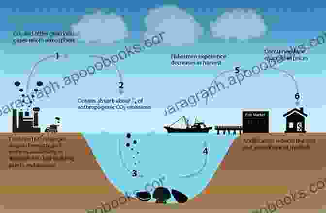 Burning Fossil Fuels, A Major Contributor To Ocean Acidification Ocean Acidification And Marine Wildlife: Physiological And Behavioral Impacts