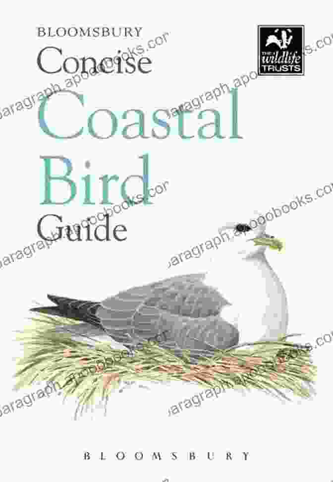 Concise Coastal Bird Guide Book Cover Concise Coastal Bird Guide (Concise Guides)