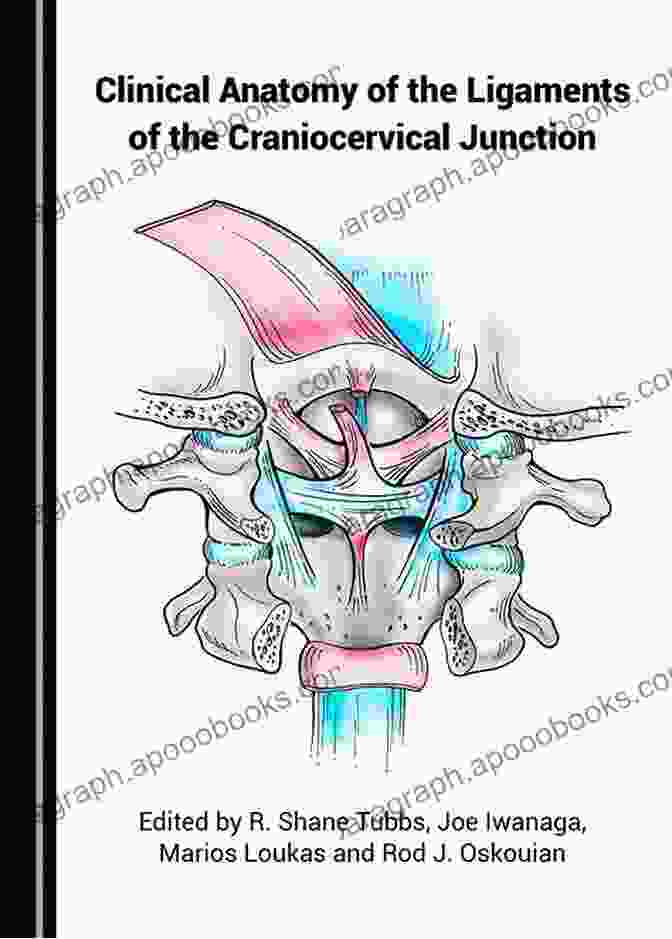 Example Illustration From The Atlas Showcasing The Anatomy Of The Craniocervical Junction Atlas Of Craniocervical Junction And Cervical Spine Surgery