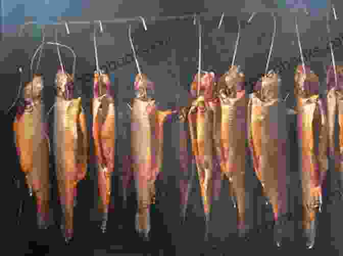 Image Depicting Fish Smoking Process Handbook On Fish Processing And Preservation