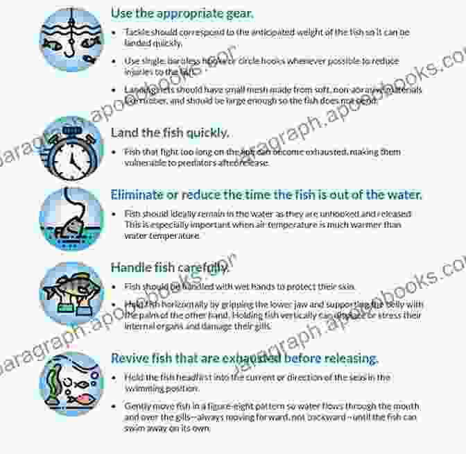 Image Depicting Proper Fish Handling Techniques Handbook On Fish Processing And Preservation