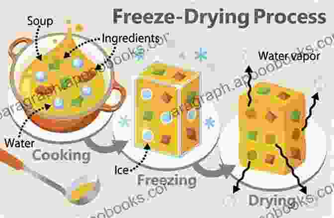 Image Illustrating Fish Freezing Process Handbook On Fish Processing And Preservation