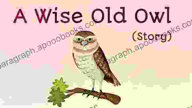 Lucky John And Whiskers Encounter The Wise Old Owl Lucky Town (Lucky John Adventures 14)