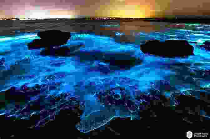 Mesmerizing Display Of Bioluminescence Illuminating The Ocean Depths Life Under The Sea A Kids About Life Under The Seas And Oceans Of Our Planet