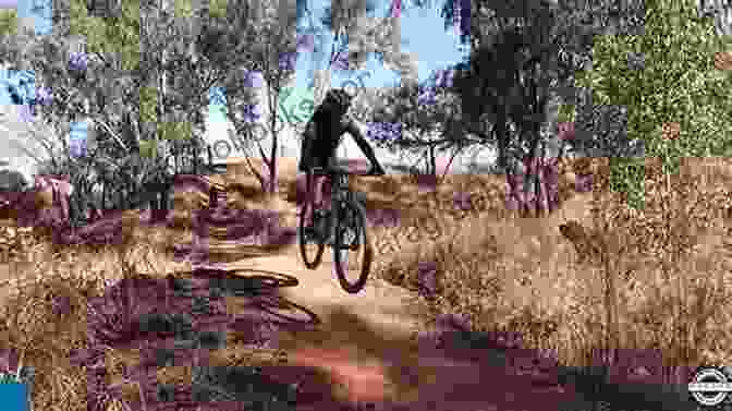 Mountain Biking In Johannesburg, South Africa Johannesburg 101 Tidbits To Expand Your Knowledge When Visiting South Africa