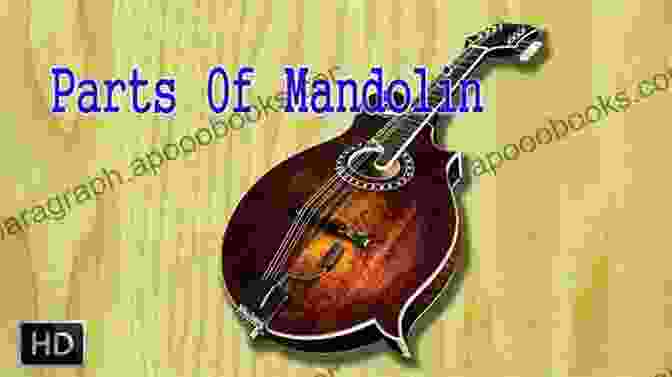 Musical Staff Mandolins: Fundamental Music Instruction For Learning To Play The Mandolin: Basic Music Reading Skills