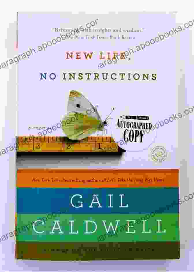 New Life, No Instructions Book Cover Featuring A Vibrant Abstract Painting With A Woman's Silhouette Emerging From It New Life No Instructions: A Memoir