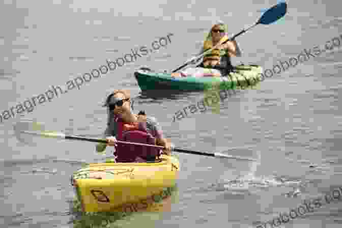 People Enjoying Recreational Activities In A Coastal Area Coastal World Heritage Sites (Coastal Research Library 28)