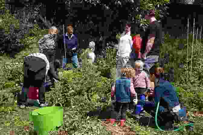 People Working In A Community Garden Not For Tourists Guide To New York City 2024