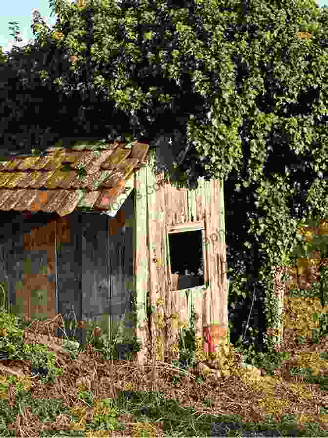 Photograph Of A Dilapidated Plantation House, Overgrown With Vines, Evoking A Sense Of Mystery And Haunting. Carolina Monster (Lowcountry Crimes 3)