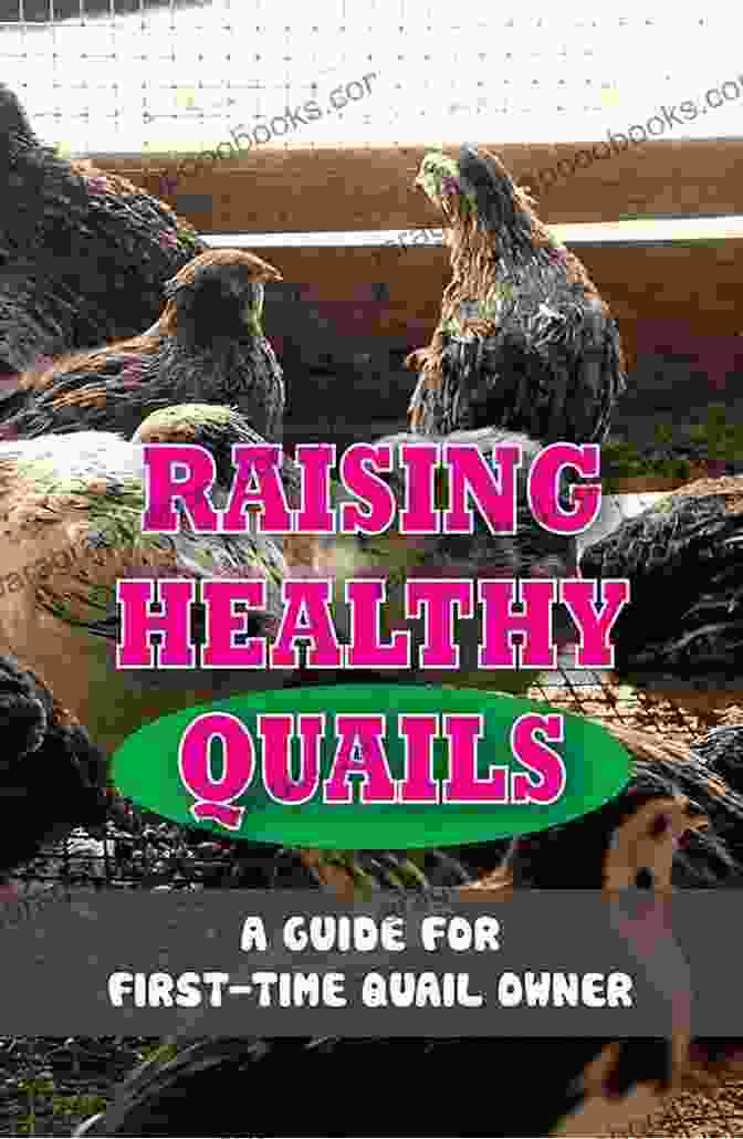 Quails About Raising Quails Book Cover Quails: About Raising Quails Francis Okumu