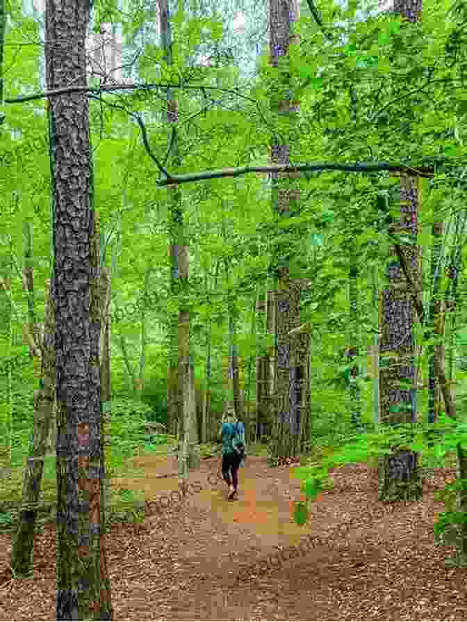 Serene Forest Trails Of Umstead State Park Greater Than A Tourist Kitty Hawk North Carolina USA: 50 Travel Tips From A Local (Greater Than A Tourist North Carolina Series)