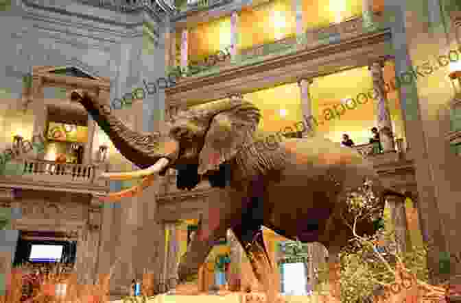 The Awe Inspiring American Museum Of Natural History Greater Than A Tourist Manhattan New York USA: 50 Travel Tips From A Local (Greater Than A Tourist New York Series)