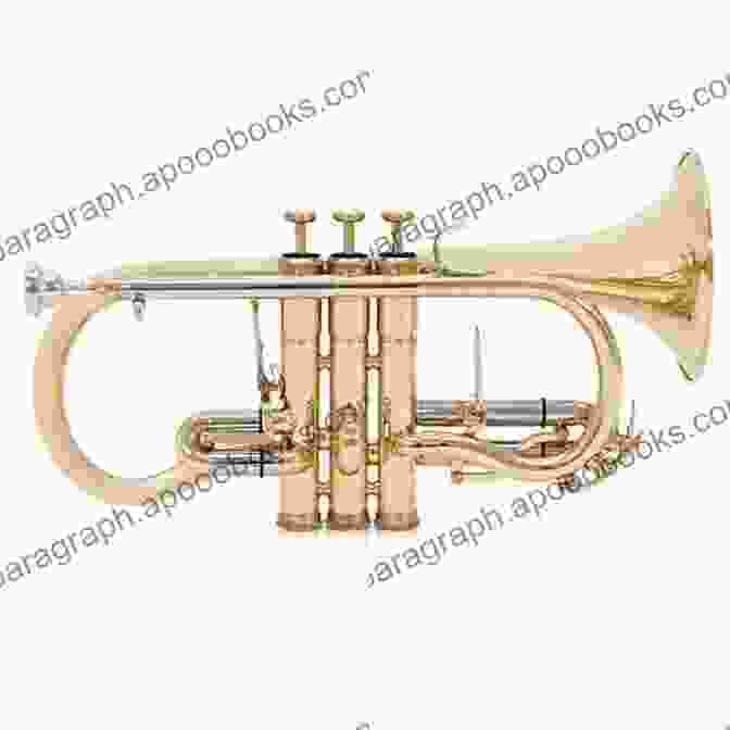 The Real Dixieland Real Series Eb Soprano Cornet The Real Dixieland Real Series: Eb Instruments