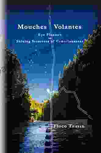 Mouches Volantes: Eye Floaters As Shining Structure Of Consciousness