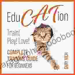 Education: Play with Cat Train your Cat Love your cat Complete training guide for beginners you ll ever find Full Color Photo illustrated