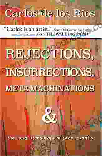 REJECTIONS INSURRECTIONS META MACHINATIONS: The Usual Stories Of Everyday Insanity