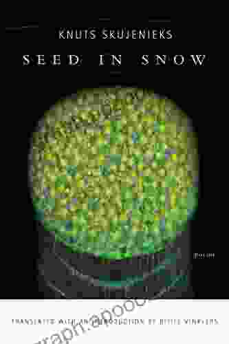 Seed In Snow Knuts Skujenieks