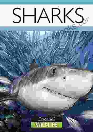 Sharks: Essential Wildlife Suki Williams