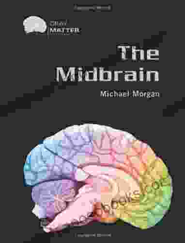 The Midbrain (Gray Matter) Michael Morgan