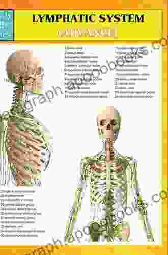 Lymphatic System (Speedy Study Guides)