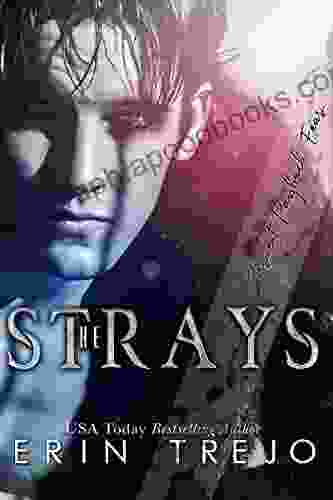 The Strays Erin Trejo