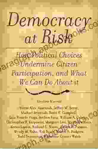 Democracy at Risk: How Political Choices Undermine Citizen Participation and What We Can Do About It